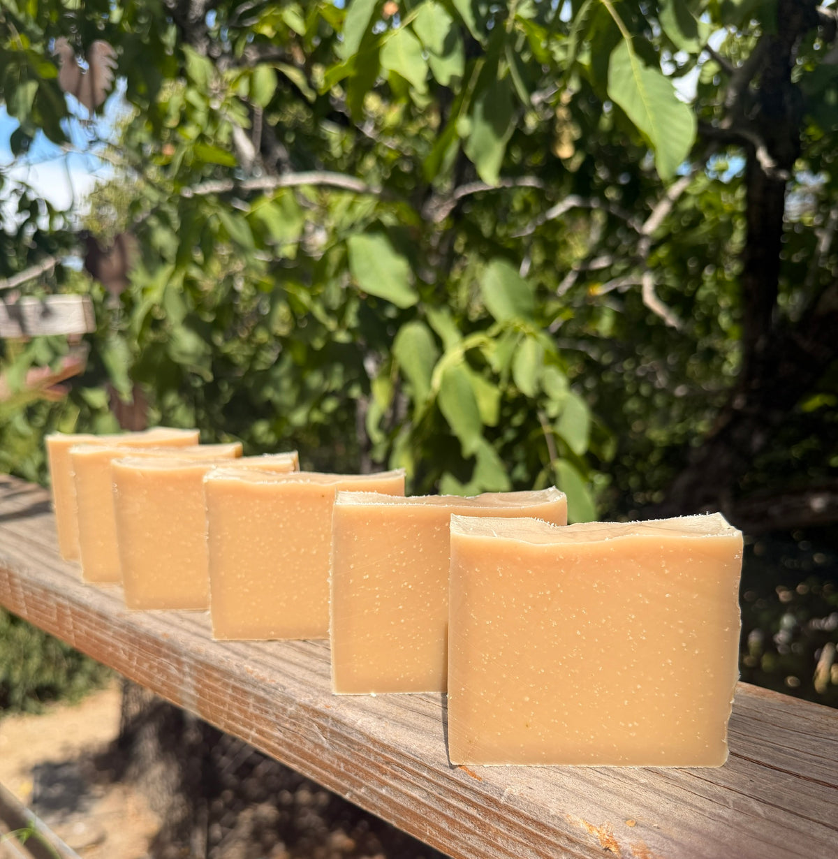 Six rectangular bars of pale yellow beer soap arranged in a row on a wooden railing outdoors, with green foliage blurred in the background.